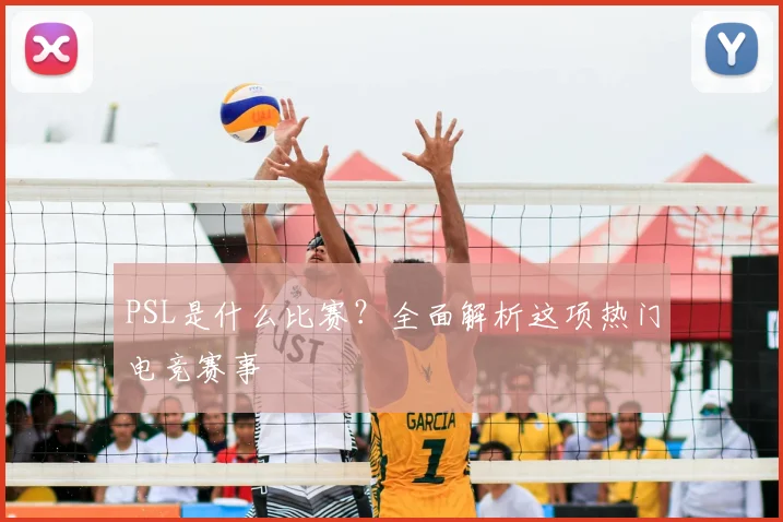 PSL是什么比赛？全面解析这项热门电竞赛事
