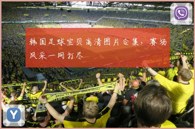 韩国足球宝贝高清图片合集，赛场风采一网打尽