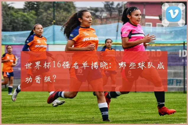 世界杯16强名单揭晓：哪些球队成功晋级？
