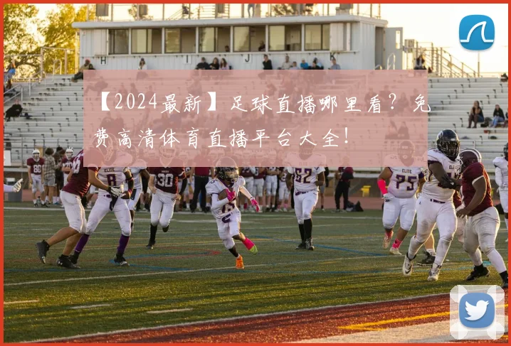 【2024最新】足球直播哪里看？免费高清体育直播平台大全！