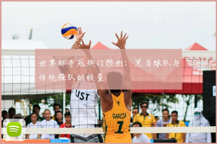 世界杯夺冠热门预测：黑马球队与传统强队的较量