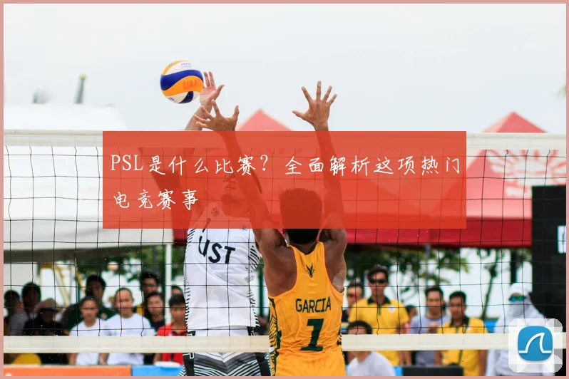 PSL是什么比赛？全面解析这项热门电竞赛事